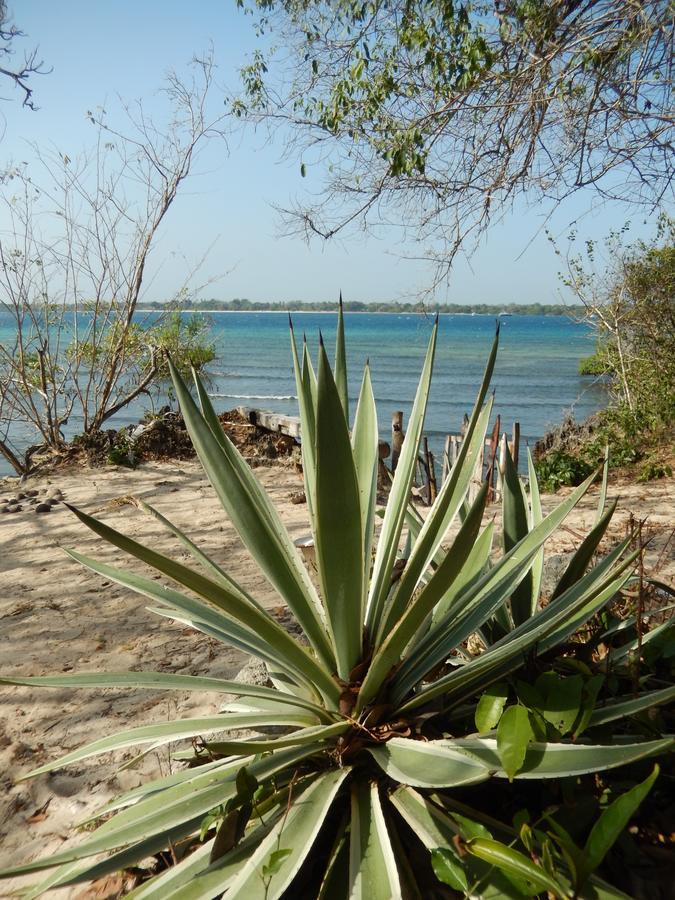 Blue Monkey Beach Cottages Shimoni Exterior photo