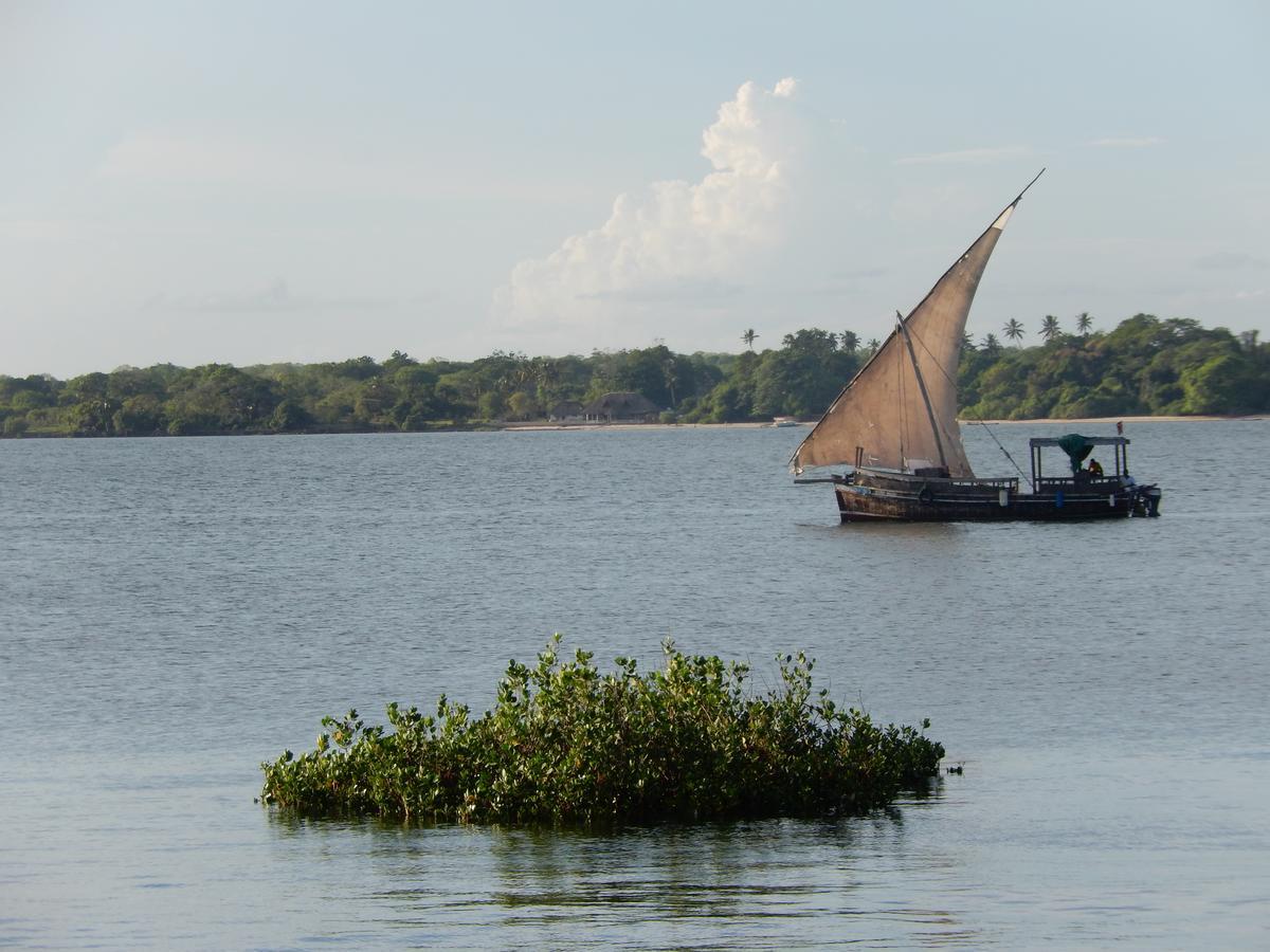 Blue Monkey Beach Cottages Shimoni Exterior photo