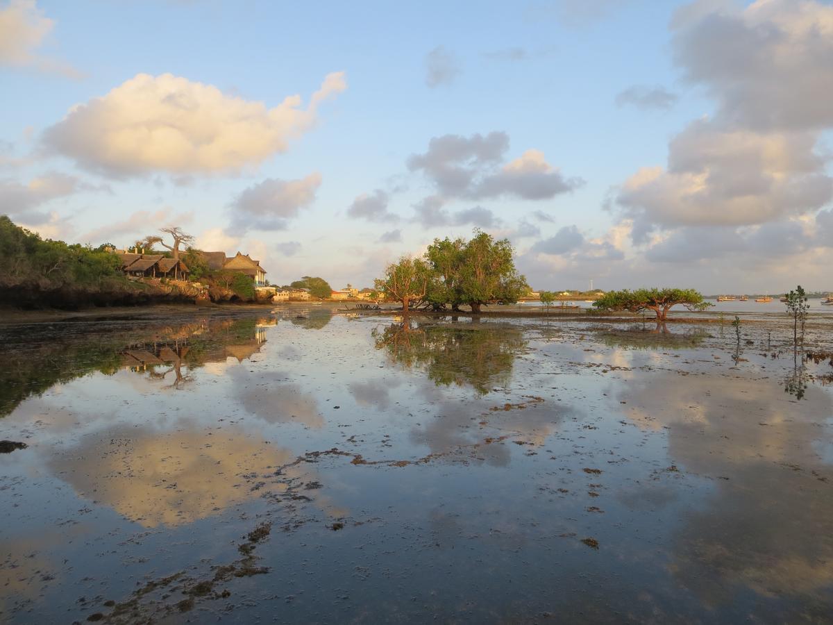 Blue Monkey Beach Cottages Shimoni Exterior photo